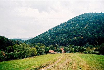 bieszczady prognoza pogody